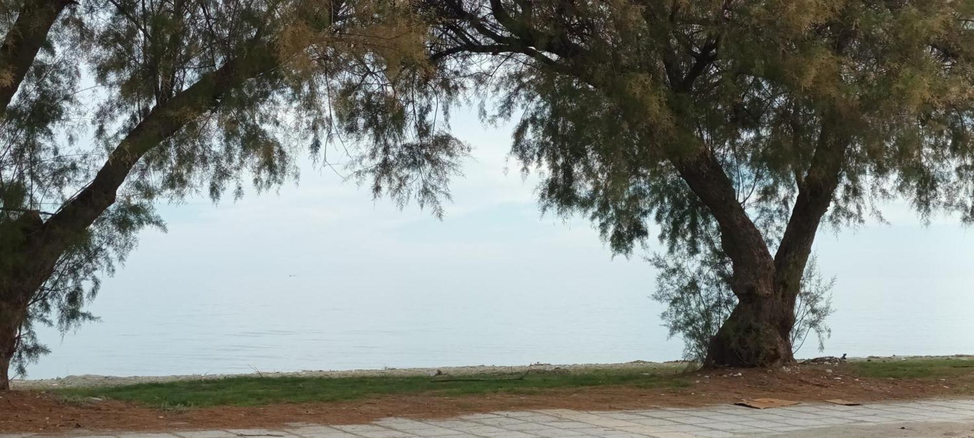 Mana Mia Seaside Apartments Leptokaryá Ngoại thất bức ảnh