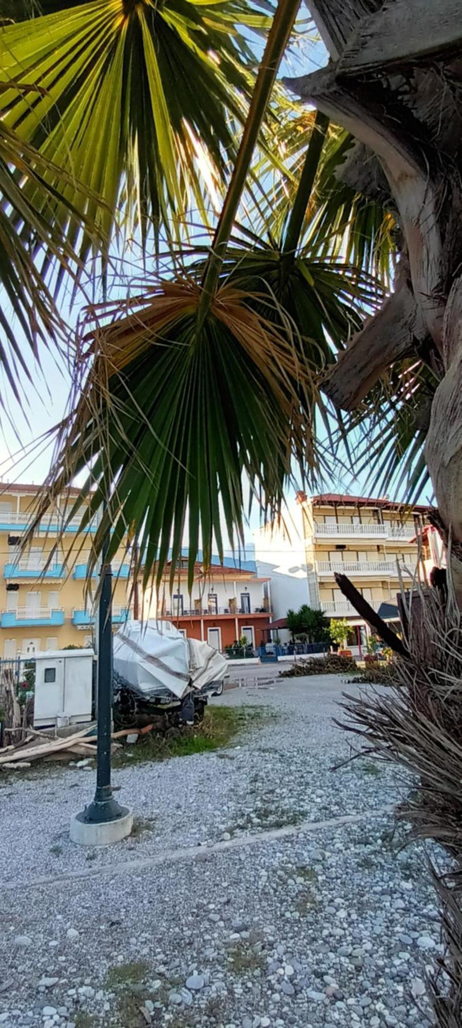 Mana Mia Seaside Apartments Leptokaryá Ngoại thất bức ảnh